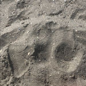 Meet your Posher, Elisabeth